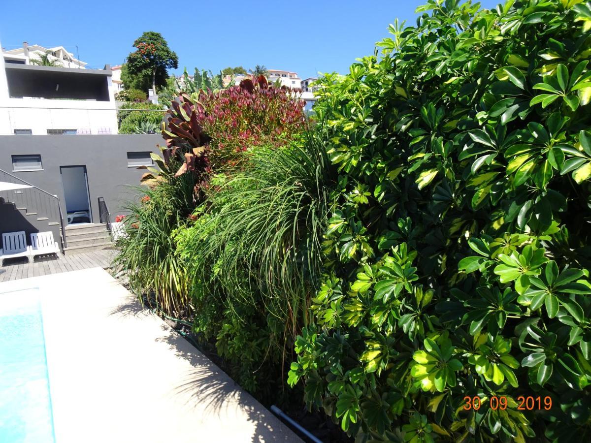Loreto Luxury Arco da Calheta  Exterior photo